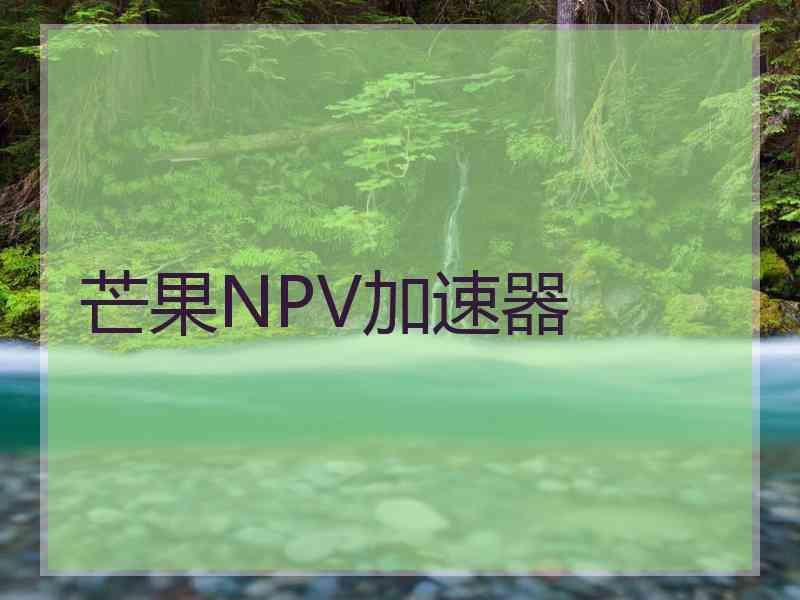 芒果NPV加速器