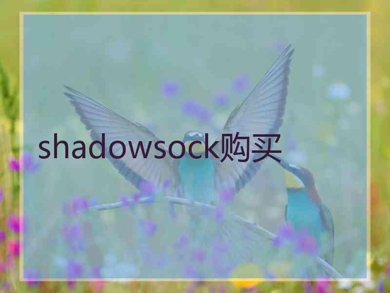 shadowsock购买