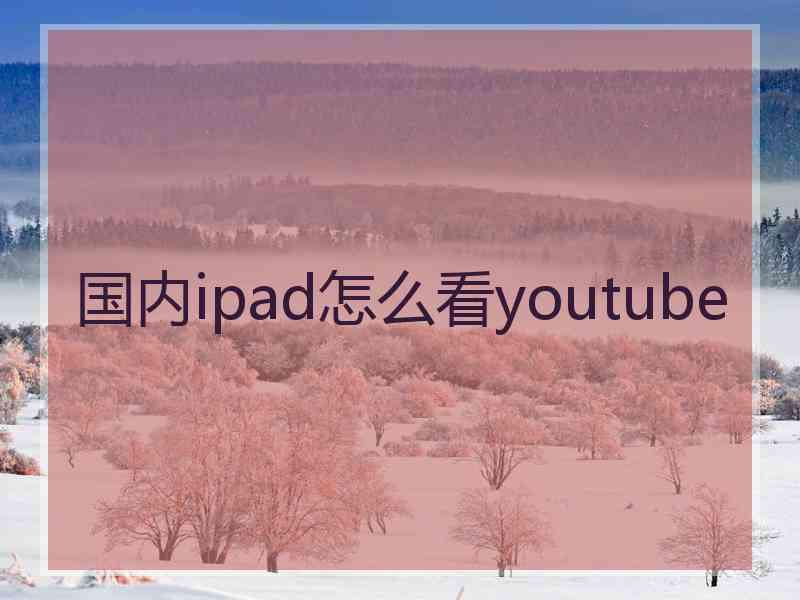 国内ipad怎么看youtube