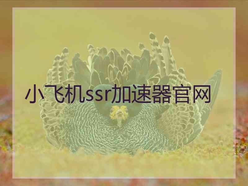 小飞机ssr加速器官网