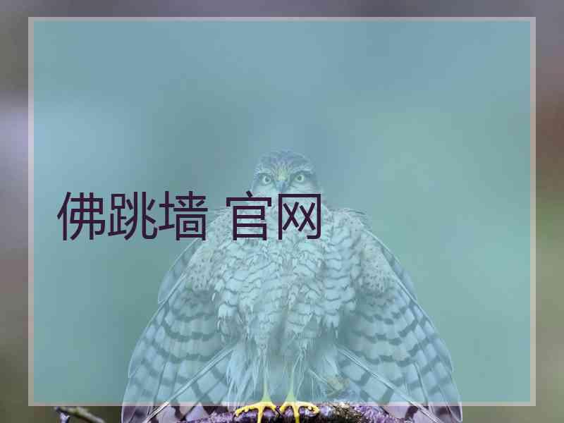 佛跳墙 官网