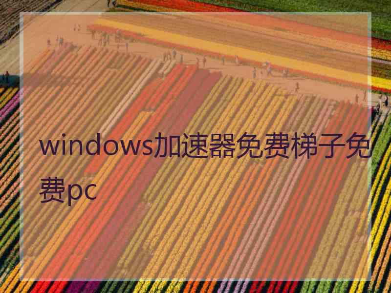 windows加速器免费梯子免费pc