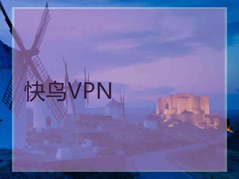 快鸟VPN