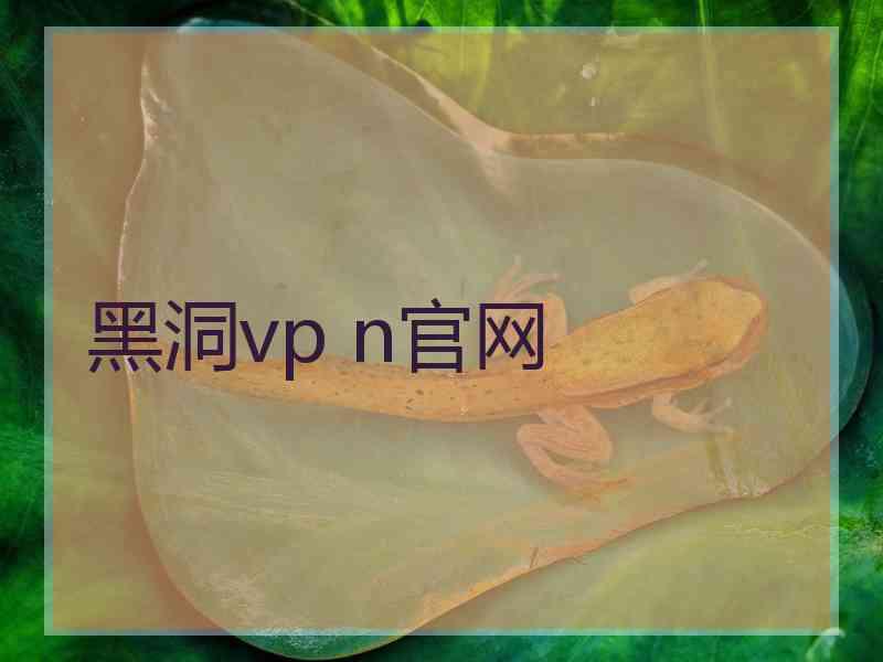 黑洞vp n官网