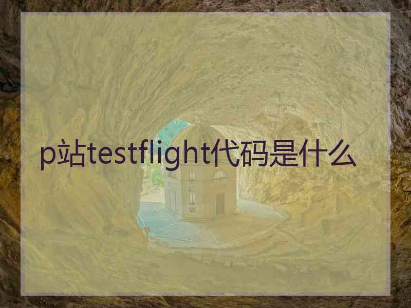 p站testflight代码是什么