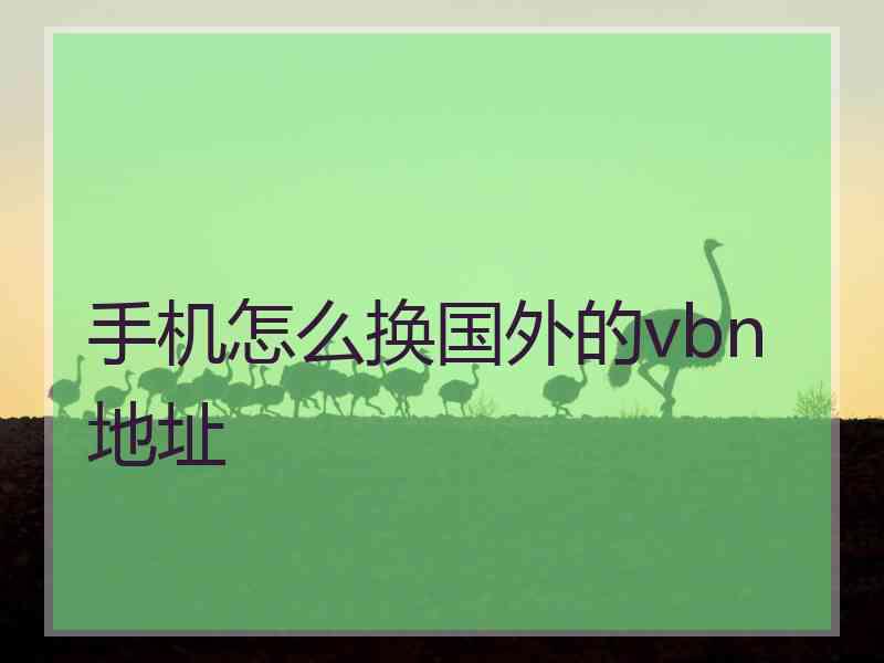 手机怎么换国外的vbn地址