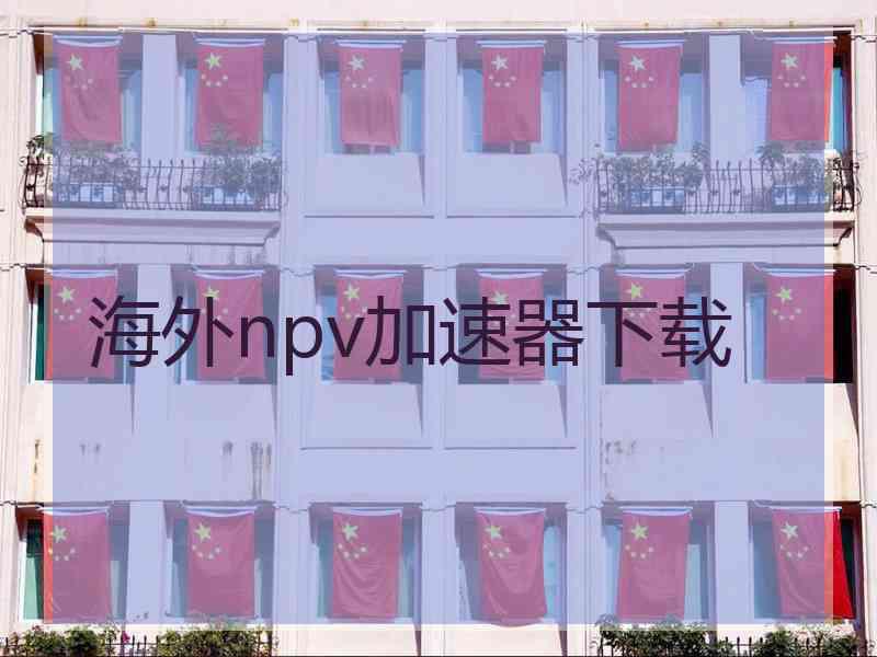 海外npv加速器下载