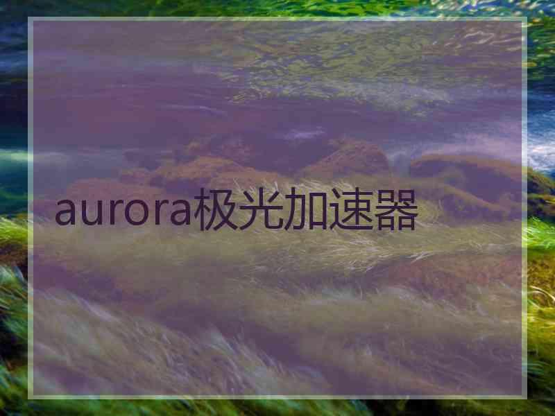 aurora极光加速器