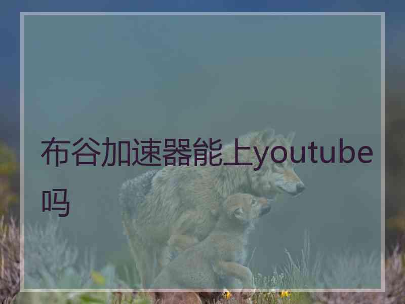 布谷加速器能上youtube吗