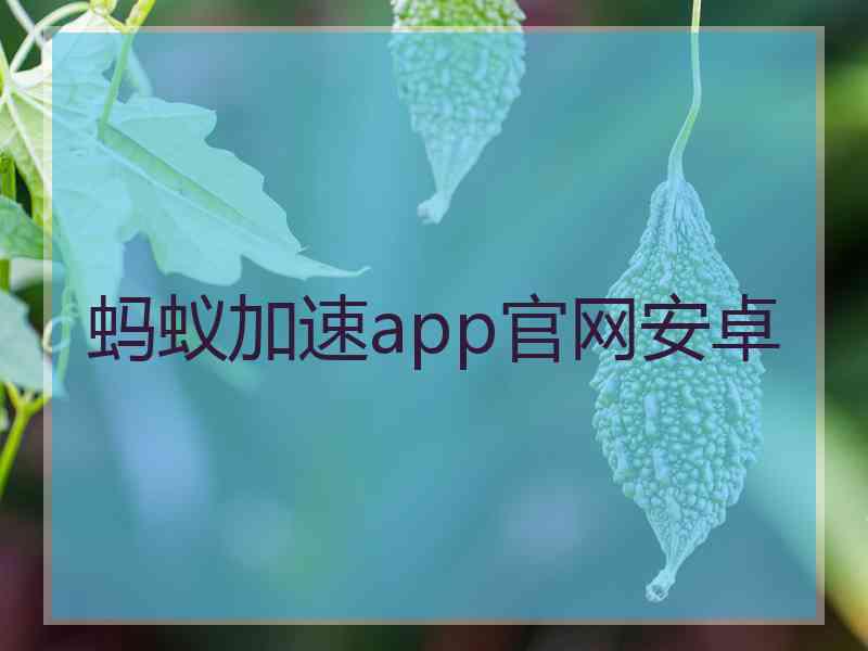 蚂蚁加速app官网安卓