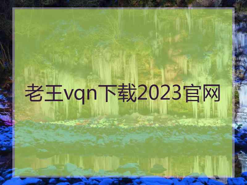 老王vqn下载2023官网