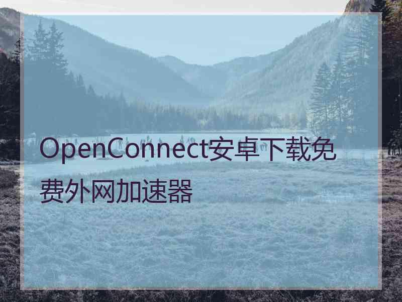 OpenConnect安卓下载免费外网加速器