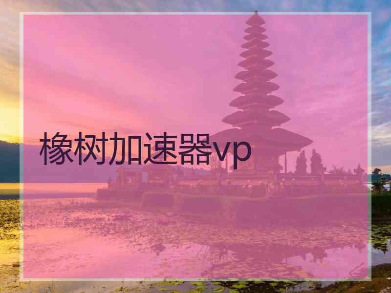 橡树加速器vp