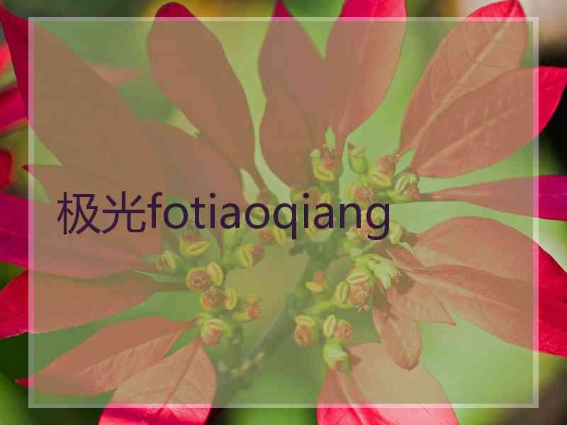 极光fotiaoqiang