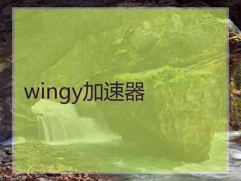 wingy加速器