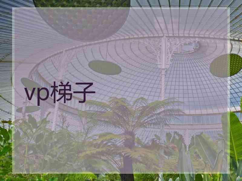 vp梯子