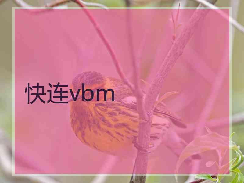 快连vbm