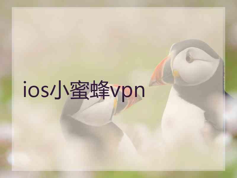 ios小蜜蜂vpn