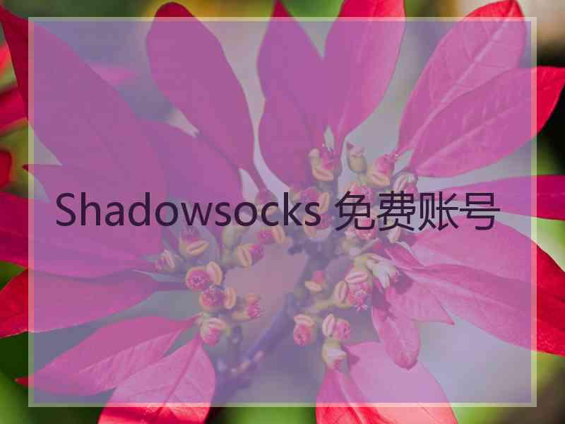 Shadowsocks 免费账号