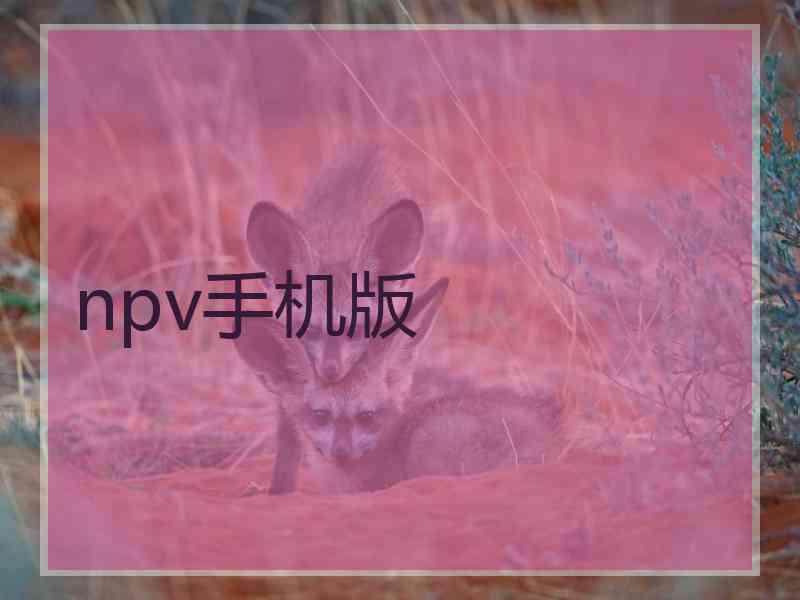 npv手机版