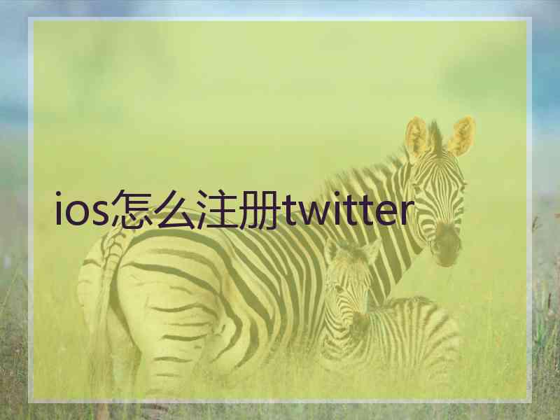 ios怎么注册twitter