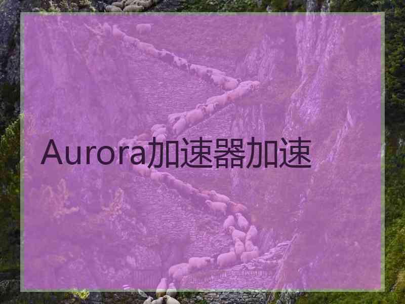 Aurora加速器加速