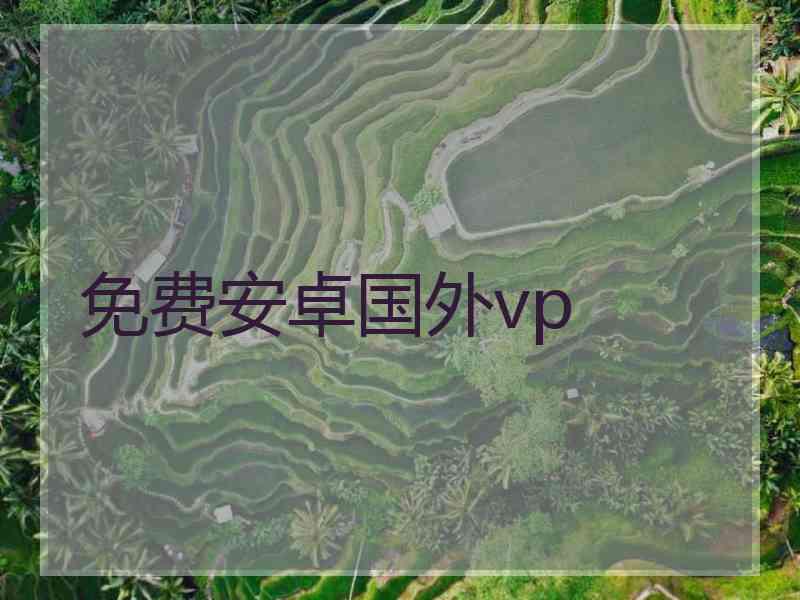 免费安卓国外vp