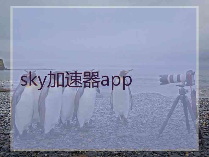 sky加速器app