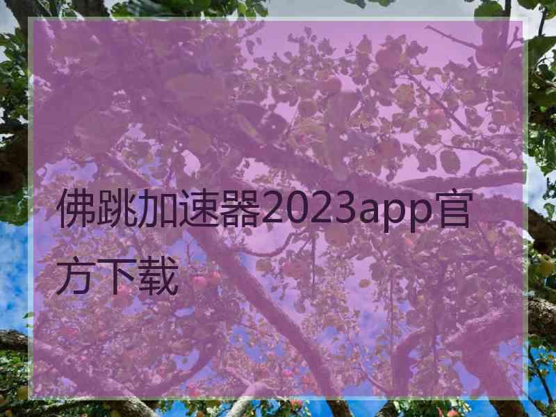 佛跳加速器2023app官方下载