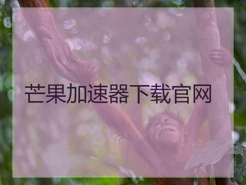 芒果加速器下载官网