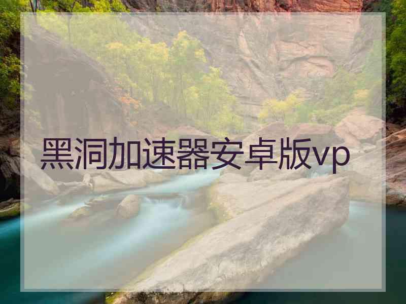 黑洞加速器安卓版vp