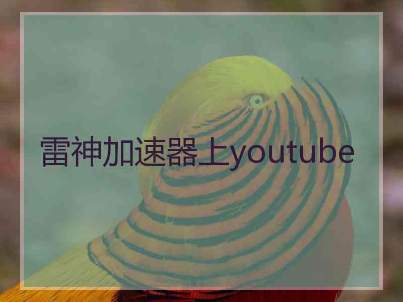 雷神加速器上youtube