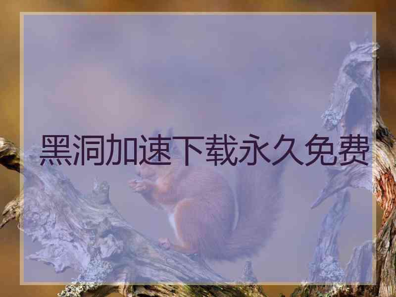 黑洞加速下载永久免费