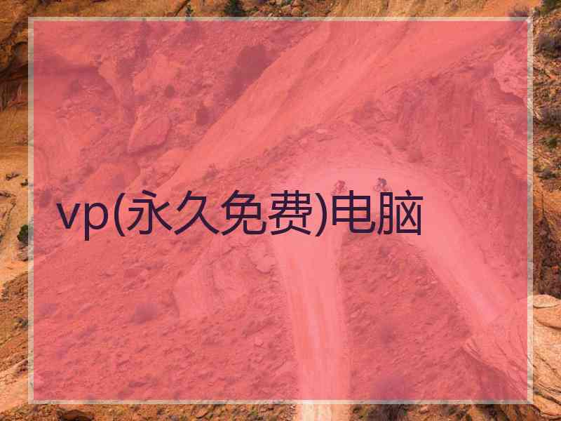 vp(永久免费)电脑