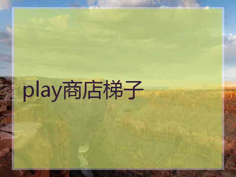 play商店梯子