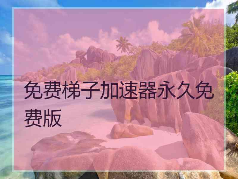 免费梯子加速器永久免费版