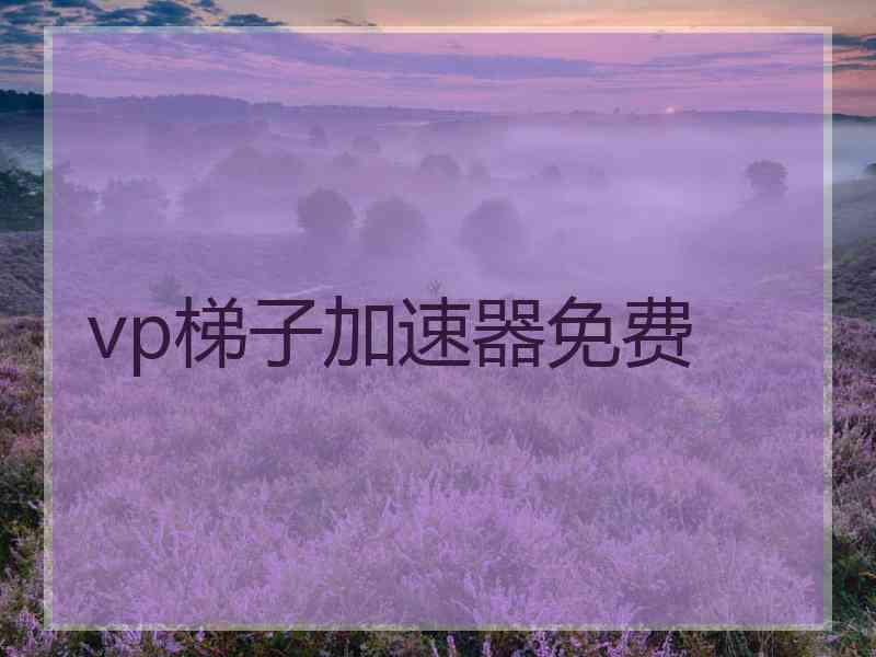 vp梯子加速器免费