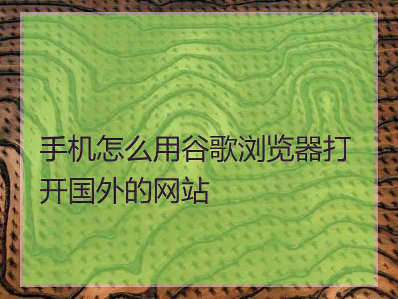 手机怎么用谷歌浏览器打开国外的网站