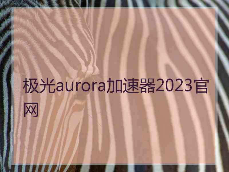 极光aurora加速器2023官网