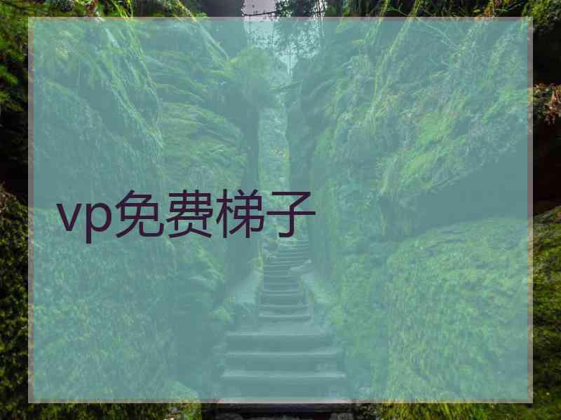 vp免费梯子