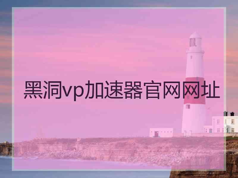 黑洞vp加速器官网网址