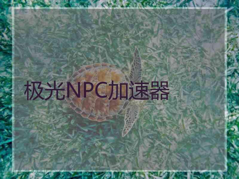 极光NPC加速器