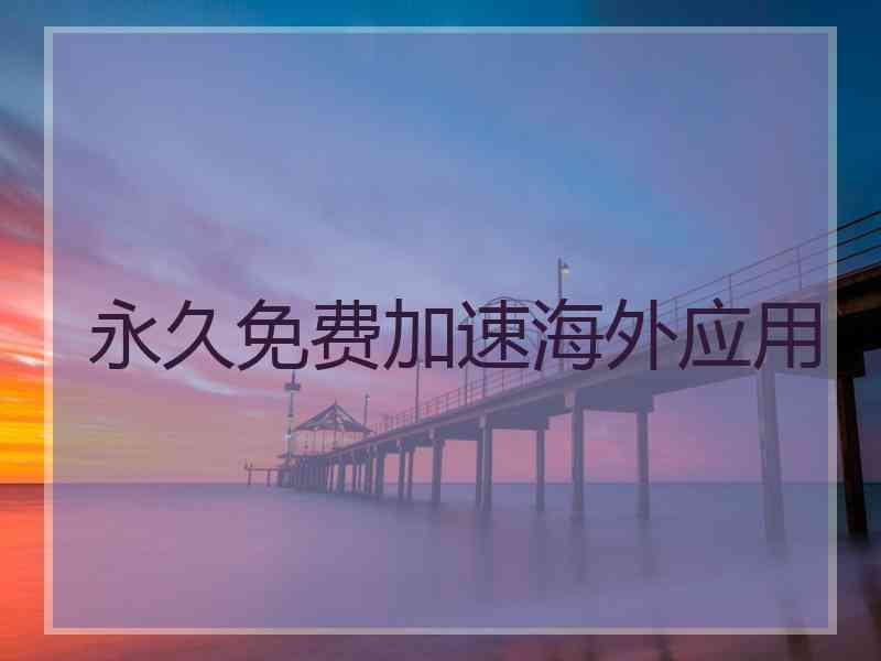 永久免费加速海外应用