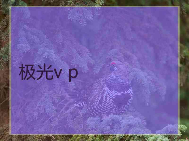 极光v p