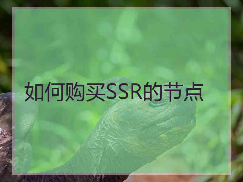 如何购买SSR的节点