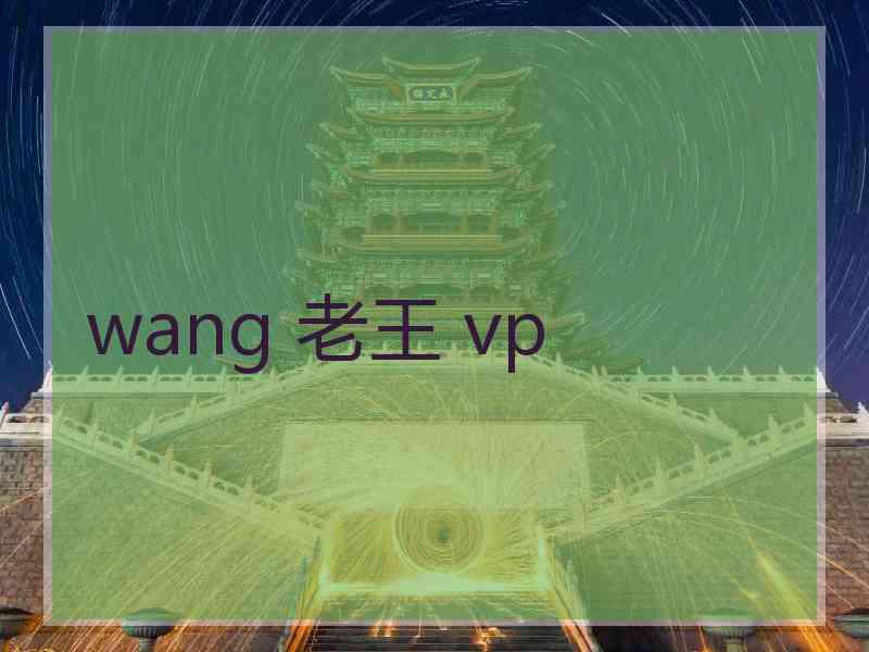 wang 老王 vp