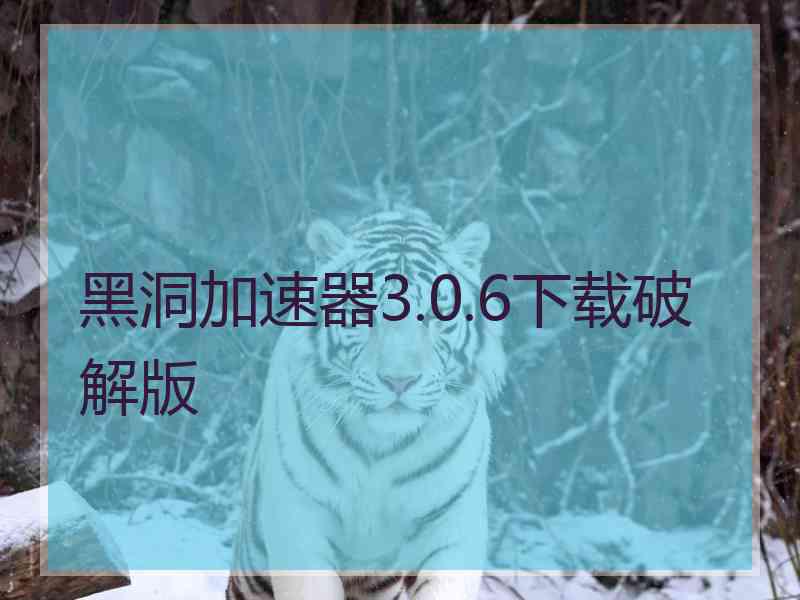 黑洞加速器3.0.6下载破解版