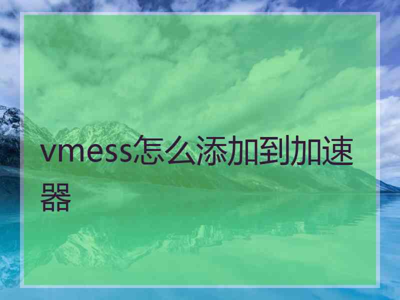 vmess怎么添加到加速器