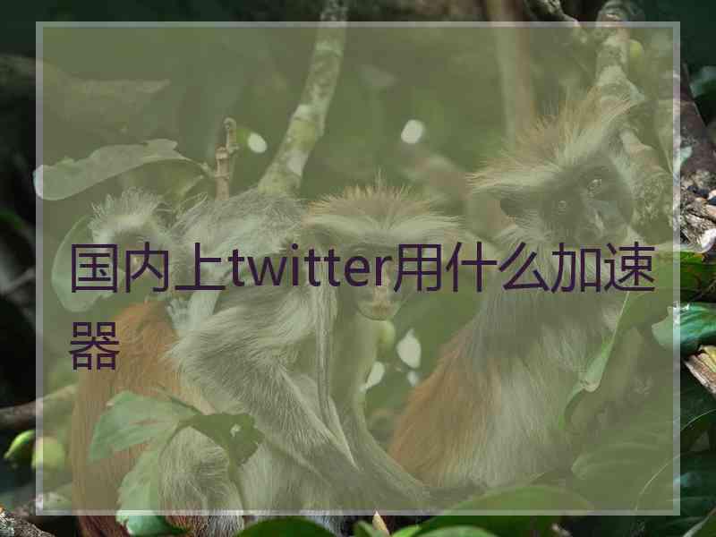 国内上twitter用什么加速器