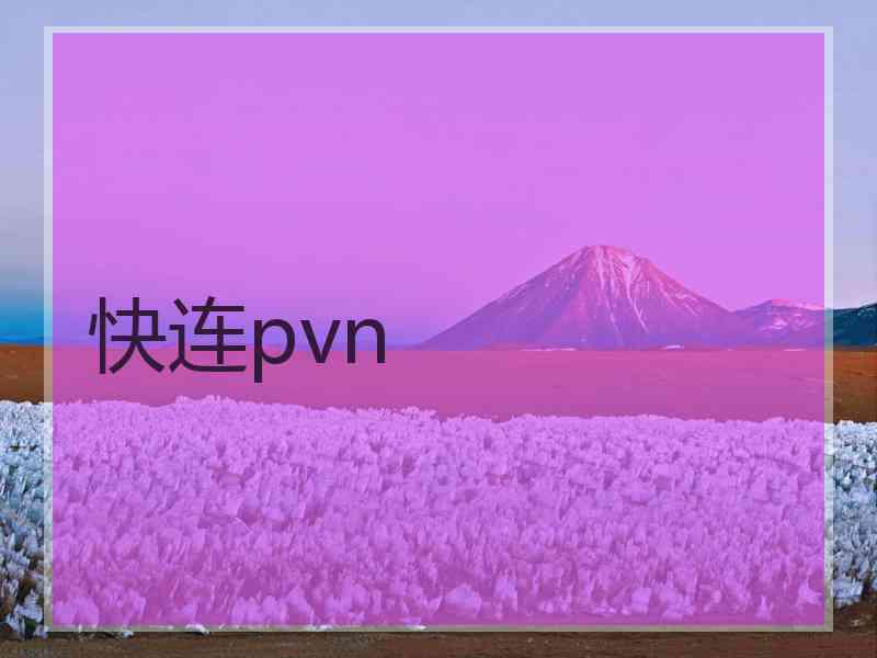 快连pvn